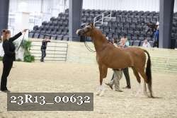 23R13_00632 thumbnail