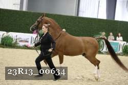 23R13_00634 thumbnail