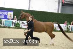 23R13_00635 thumbnail