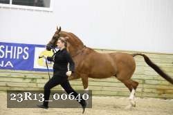 23R13_00640 thumbnail