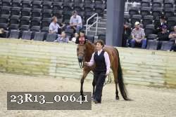 23R13_00641 thumbnail