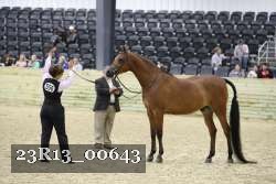 23R13_00643 thumbnail