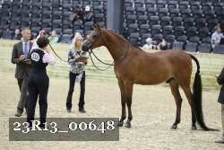 23R13_00648 thumbnail