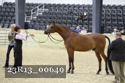 23R13_00649 thumbnail