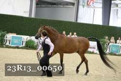 23R13_00650 thumbnail
