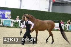 23R13_00651 thumbnail