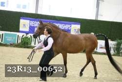 23R13_00652 thumbnail