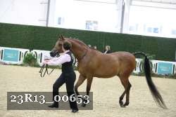 23R13_00653 thumbnail