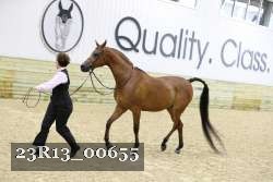 23R13_00655 thumbnail