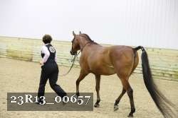 23R13_00657 thumbnail