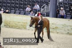 23R13_00659 thumbnail