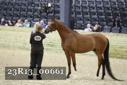 23R13_00661 thumbnail