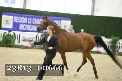 23R13_00666 thumbnail