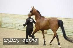 23R13_00670 thumbnail