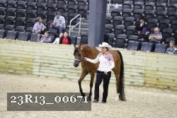 23R13_00671 thumbnail