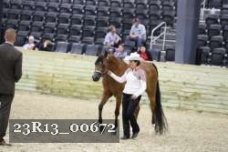 23R13_00672 thumbnail