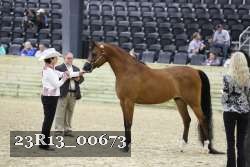 23R13_00673 thumbnail