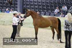 23R13_00674 thumbnail