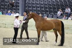 23R13_00676 thumbnail