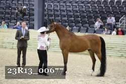 23R13_00677 thumbnail
