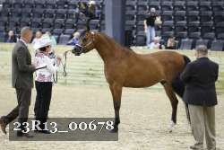 23R13_00678 thumbnail