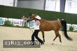 23R13_00679 thumbnail