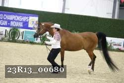 23R13_00680 thumbnail