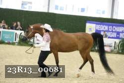 23R13_00681 thumbnail