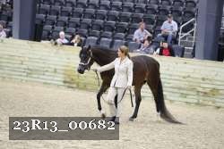 23R13_00682 thumbnail