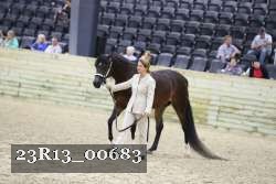 23R13_00683 thumbnail