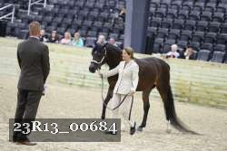 23R13_00684 thumbnail