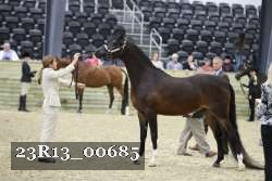 23R13_00685 thumbnail