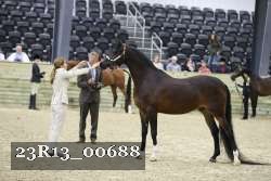23R13_00688 thumbnail