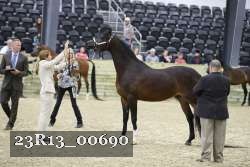 23R13_00690 thumbnail