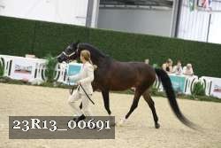 23R13_00691 thumbnail