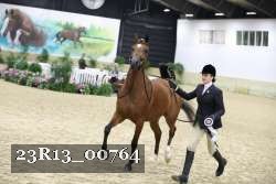23R13_00764 thumbnail