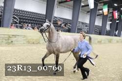23R13_00769 thumbnail