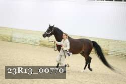 23R13_00770 thumbnail