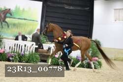 23R13_00778 thumbnail