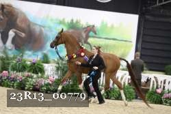 23R13_00779 thumbnail