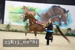 23R13_00781 thumbnail