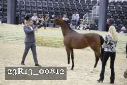 23R13_00812 thumbnail