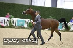 23R13_00814 thumbnail
