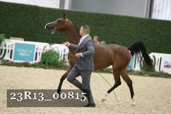 23R13_00815 thumbnail