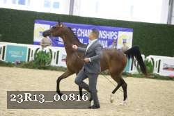23R13_00816 thumbnail