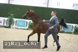 23R13_00817 thumbnail