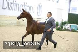 23R13_00818 thumbnail