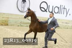 23R13_00819 thumbnail