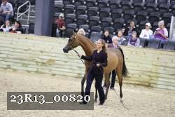 23R13_00820 thumbnail