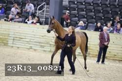 23R13_00821 thumbnail